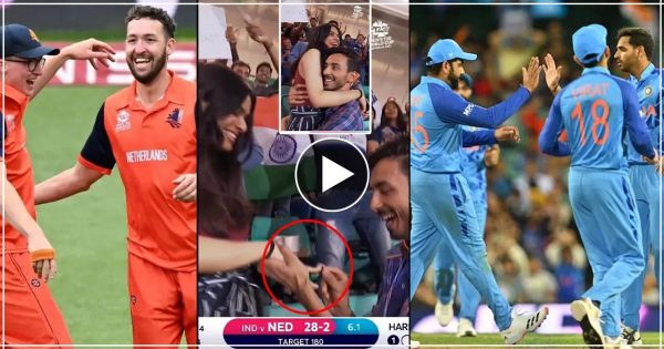 IND VS NED: लाइव मैच में जीता लड़की का दिल, इस तरीके से स्टेडियम के बीचो-बीच किया प्रपोज- वीडियो